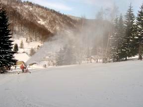 Pension Restaurace Grizzly - Vrbno pod Pradědem, Ludvíkov