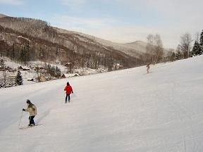Pension Restaurace Grizzly - Vrbno pod Pradědem, Ludvíkov
