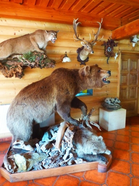 Pension Restaurace Grizzly - Vrbno pod Praddem, Ludvkov
