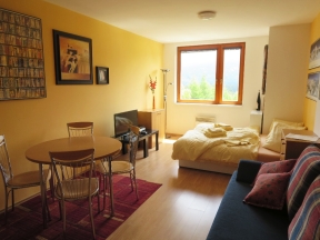 Apartmá Nečasová - Ramzová
