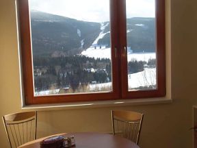 Apartmá Nečasová - Ramzová