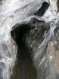 Jeskyn Na piku - Psen