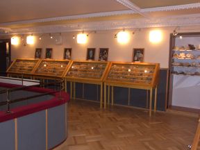 Mstsk muzeum Javornk