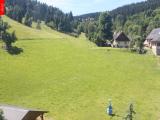 Ostru�n�