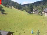 webkamera Ostru�n�