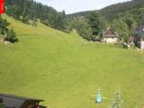 webkamera Ostru�n�