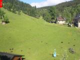webkamera Ostru�n�