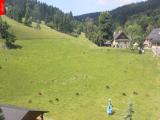 webkamera Ostru�n�