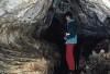 Jeskyn Tvaron dry - Krlick Snnk